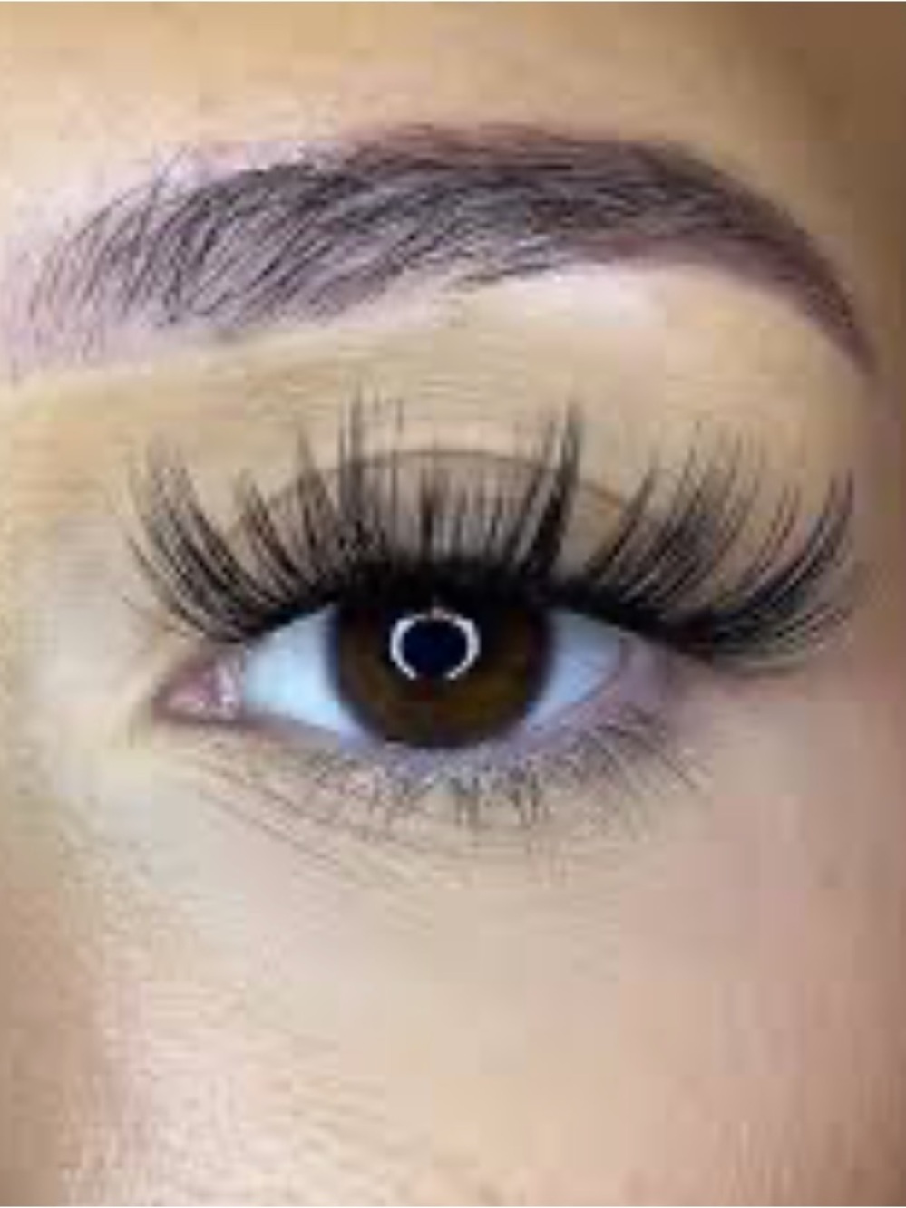 Luxury Professional False Eyelash Extensions — Black